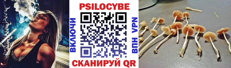 продажа наркотиков Павловский Посад Псилоцибиновые грибы мухоморы