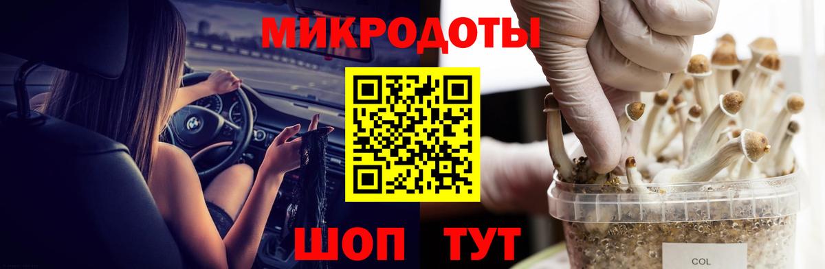 Павловский Посад  Галлюциногенные грибы Psilocybe  Вход с VPN 
